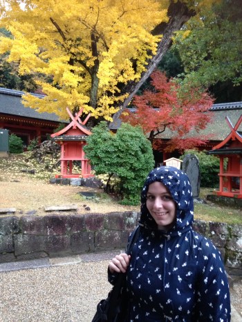 013619ba11949890137ea02f2d101f0af453a82ab8