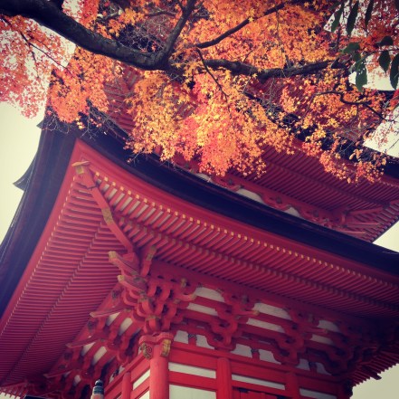 013f27e2e0803b79acc1cc6725074e5f2d6a3cd1da