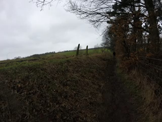 0161498a2efeca5bde6147398776ac9d4e363cb5d6