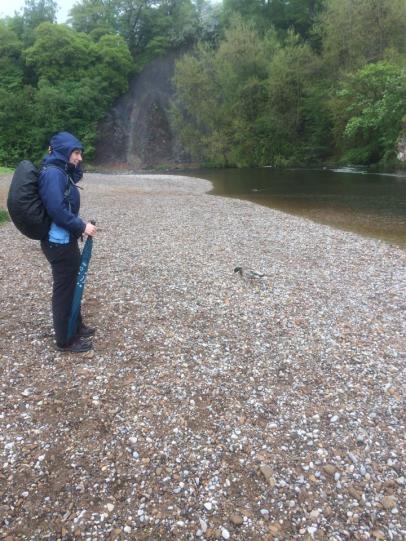 10348225_10154158806270344_2230065948855572594_n