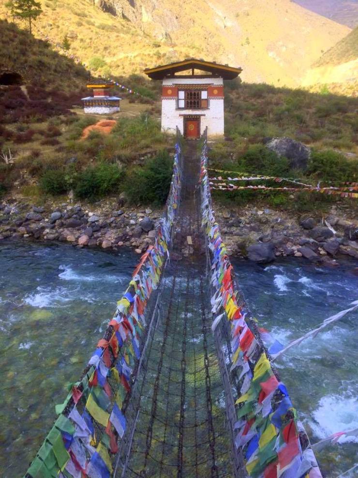 15101971_10157785255980344_573245197_o-1