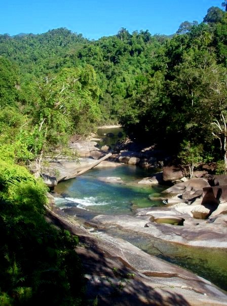 10399472_238833865133_779109_n 1