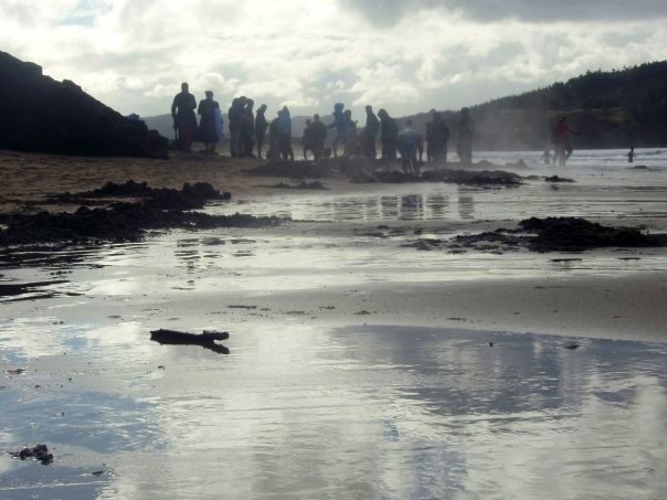 10399472_238845915133_2439986_n 1