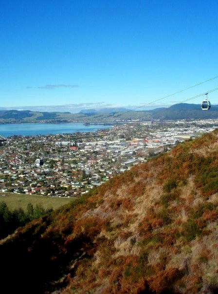 10399472_238846365133_6188010_n 1