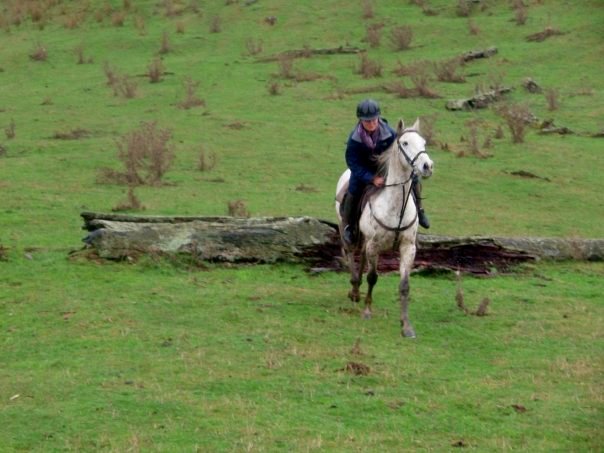 10399472_238851235133_3625478_n 1