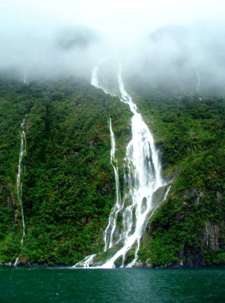 1934763_247919115133_8216452_n 1