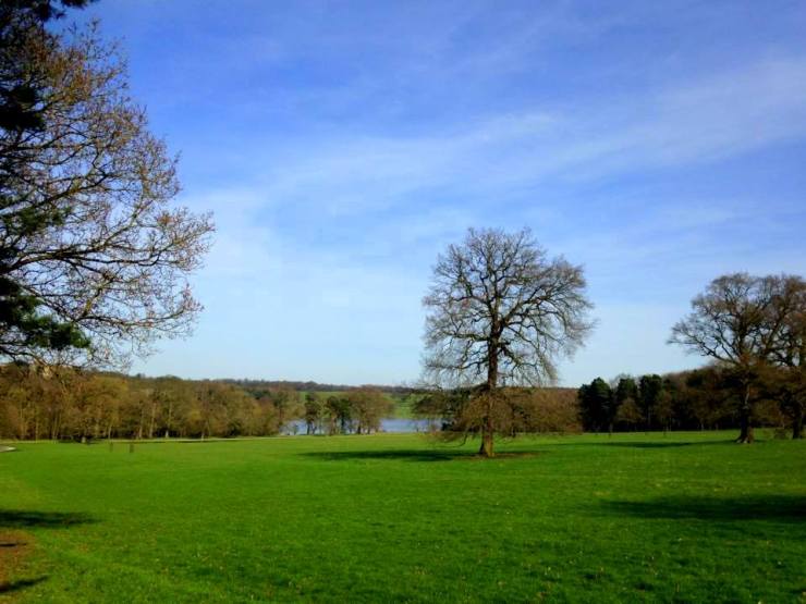 17951601_10158507592140134_5759128471946429497_n 1