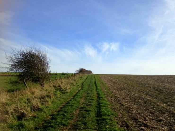 17951948_10158507591925134_7248312644390527391_n 1